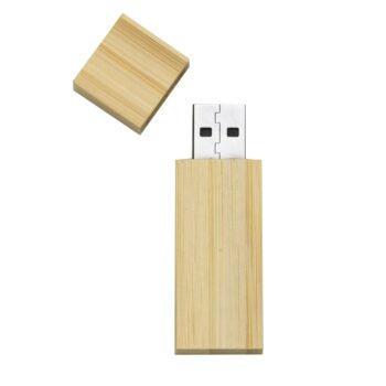 Pen Drive  Bambu